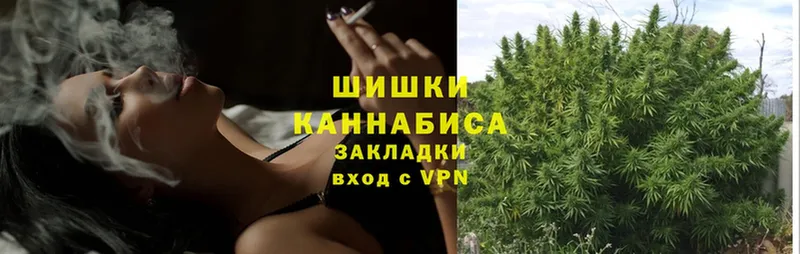 Бошки марихуана OG Kush  купить наркоту  Дмитриев 